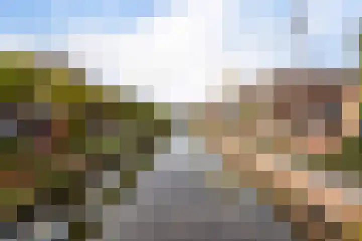 Calville 65 Boskoop thumbnail 37
