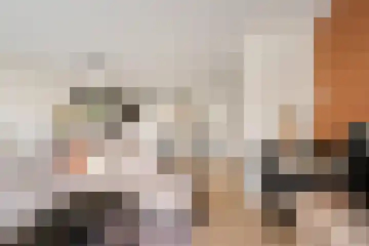 Calville 65 Boskoop thumbnail 6