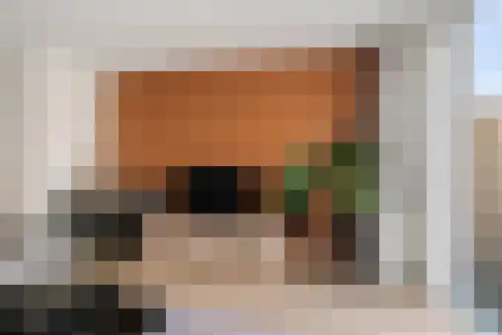 Calville 65 Boskoop thumbnail 7