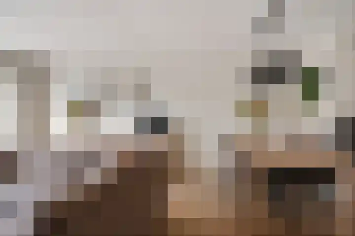 Calville 65 Boskoop thumbnail 8