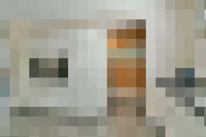 Calypso 12 Nieuw-Vennep thumbnail 16
