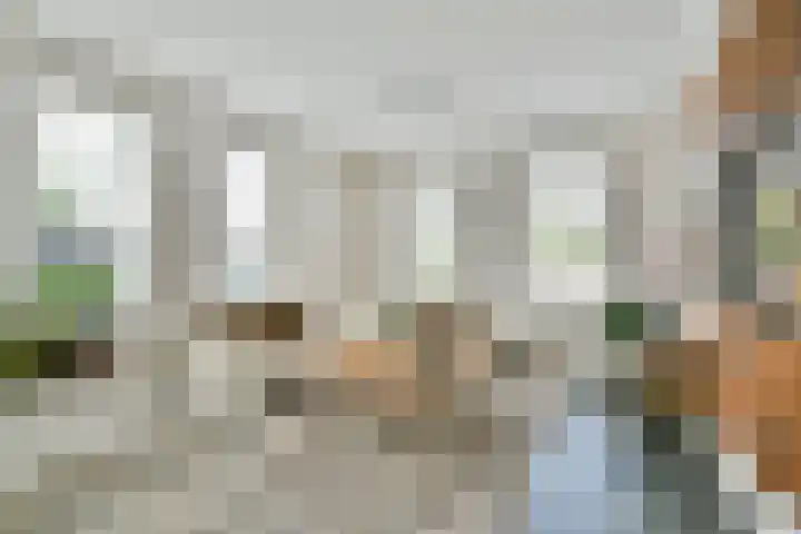 Calypso 12 Nieuw-Vennep thumbnail 9