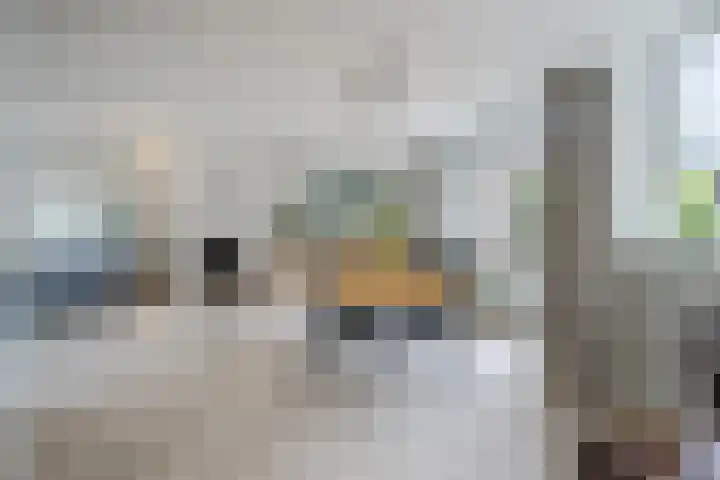 Calypsostraat 27 Eindhoven thumbnail 16