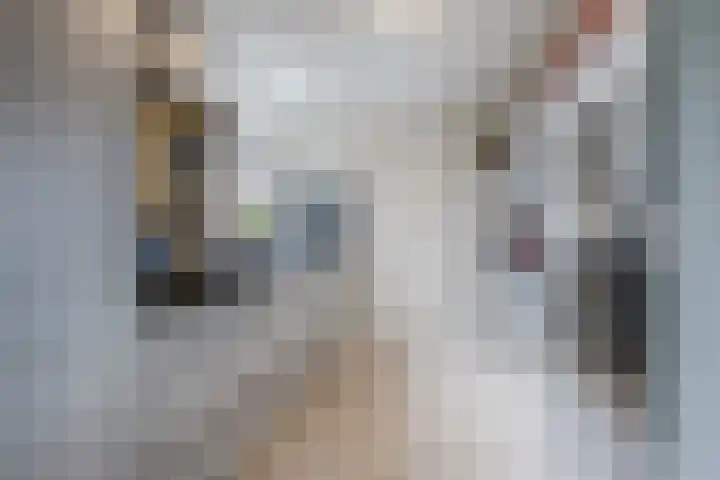 Calypsostraat 27 Eindhoven thumbnail 20