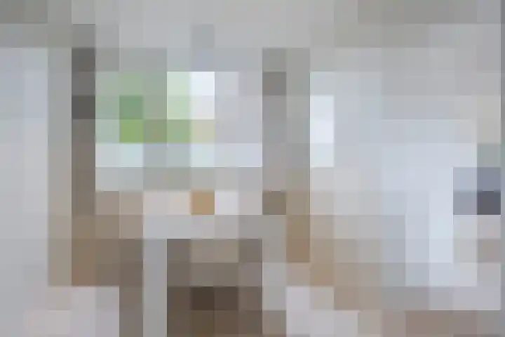 Calypsostraat 27 Eindhoven thumbnail 22