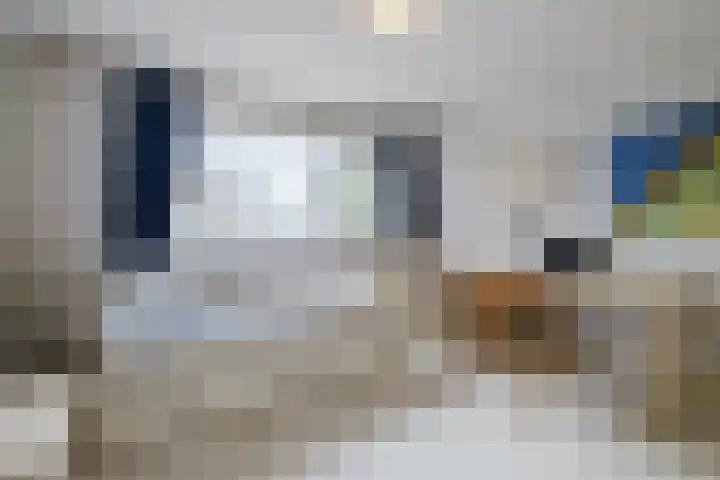 Calypsostraat 27 Eindhoven thumbnail 24