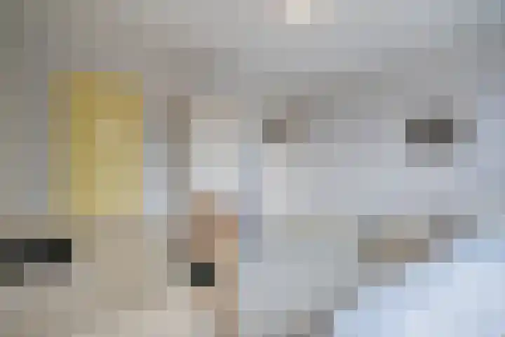 Calypsostraat 27 Eindhoven thumbnail 25