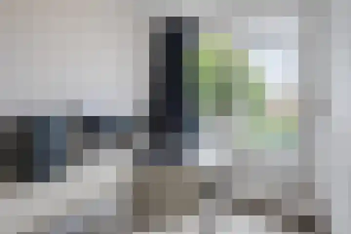 Calypsostraat 27 Eindhoven thumbnail 28
