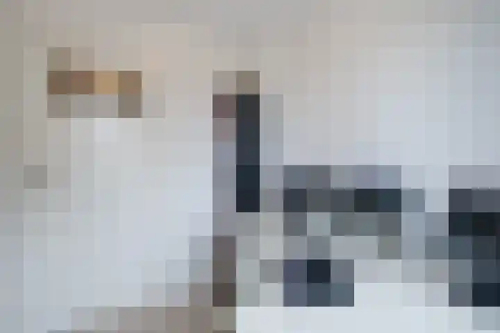 Calypsostraat 27 Eindhoven thumbnail 29