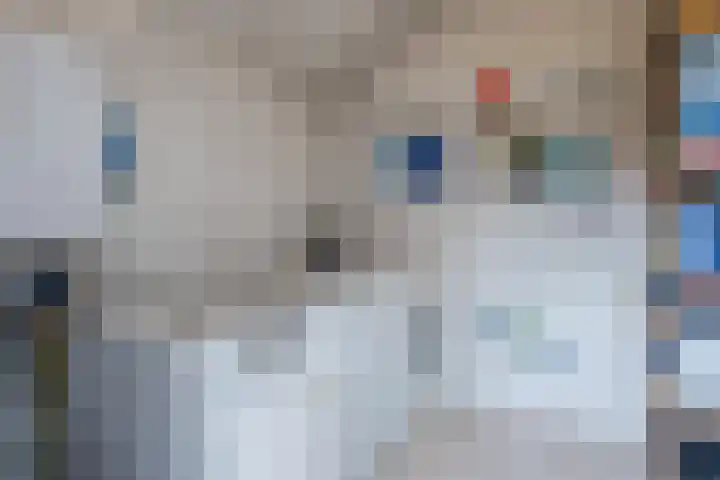 Calypsostraat 27 Eindhoven thumbnail 34