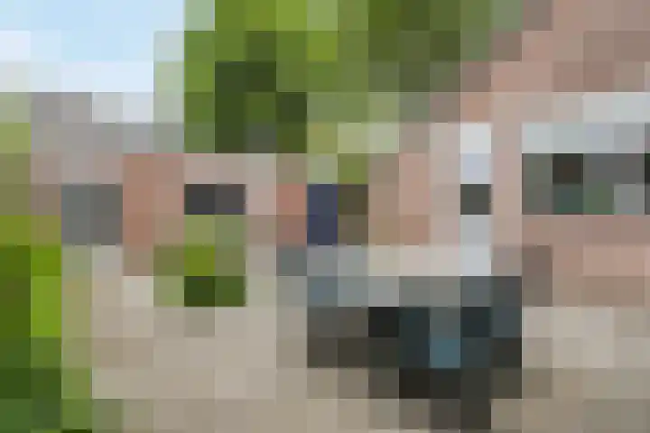 Calypsostraat 27 Eindhoven thumbnail 41