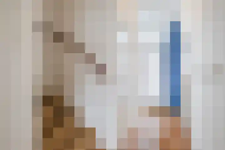 Calypsostraat 27 Eindhoven thumbnail 9