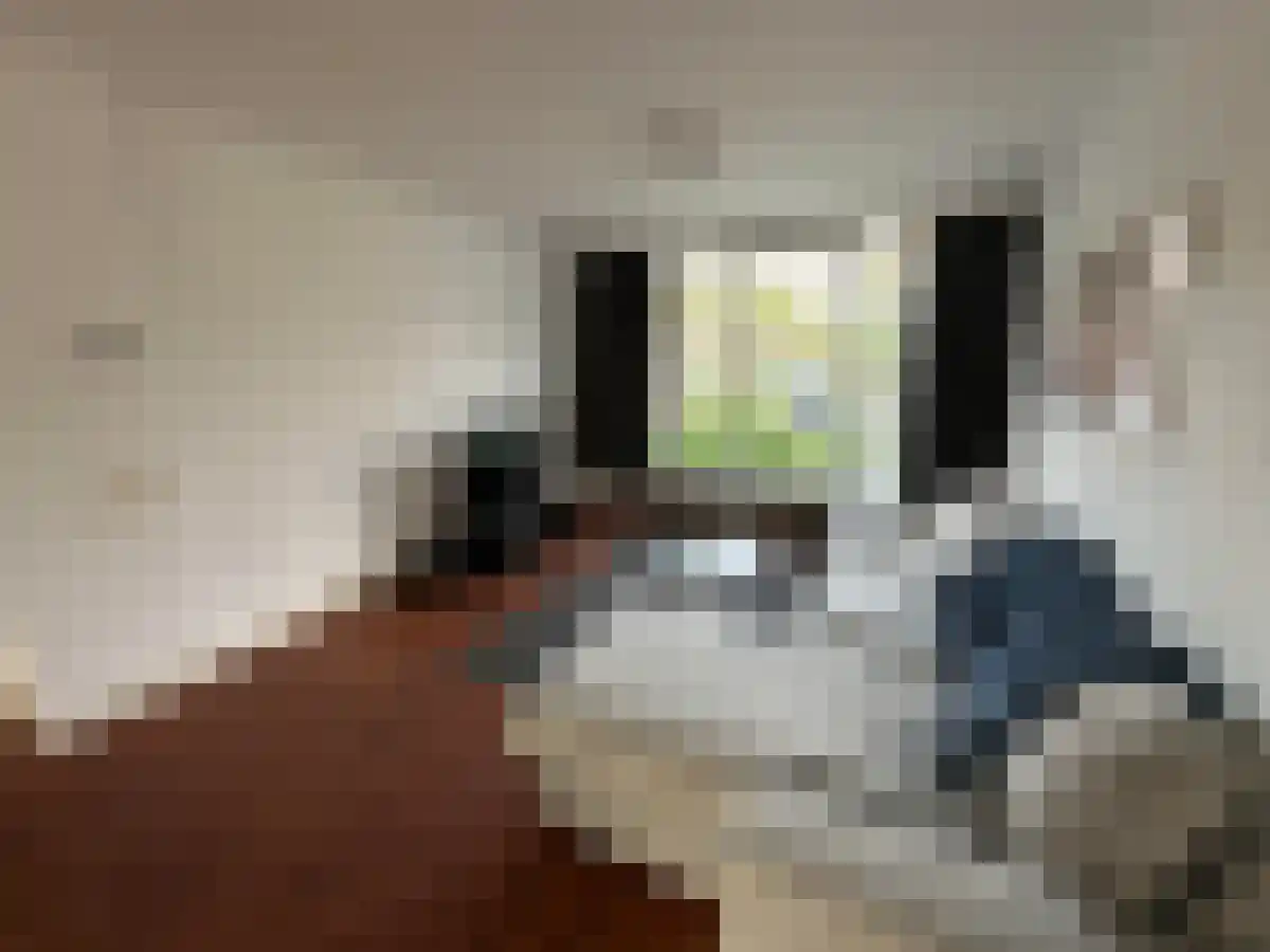Calypsostraat 9 Eindhoven thumbnail 4