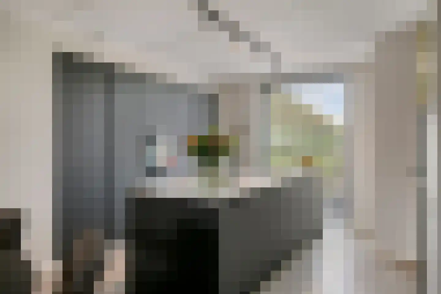 Cambara 11 Rosmalen thumbnail 10