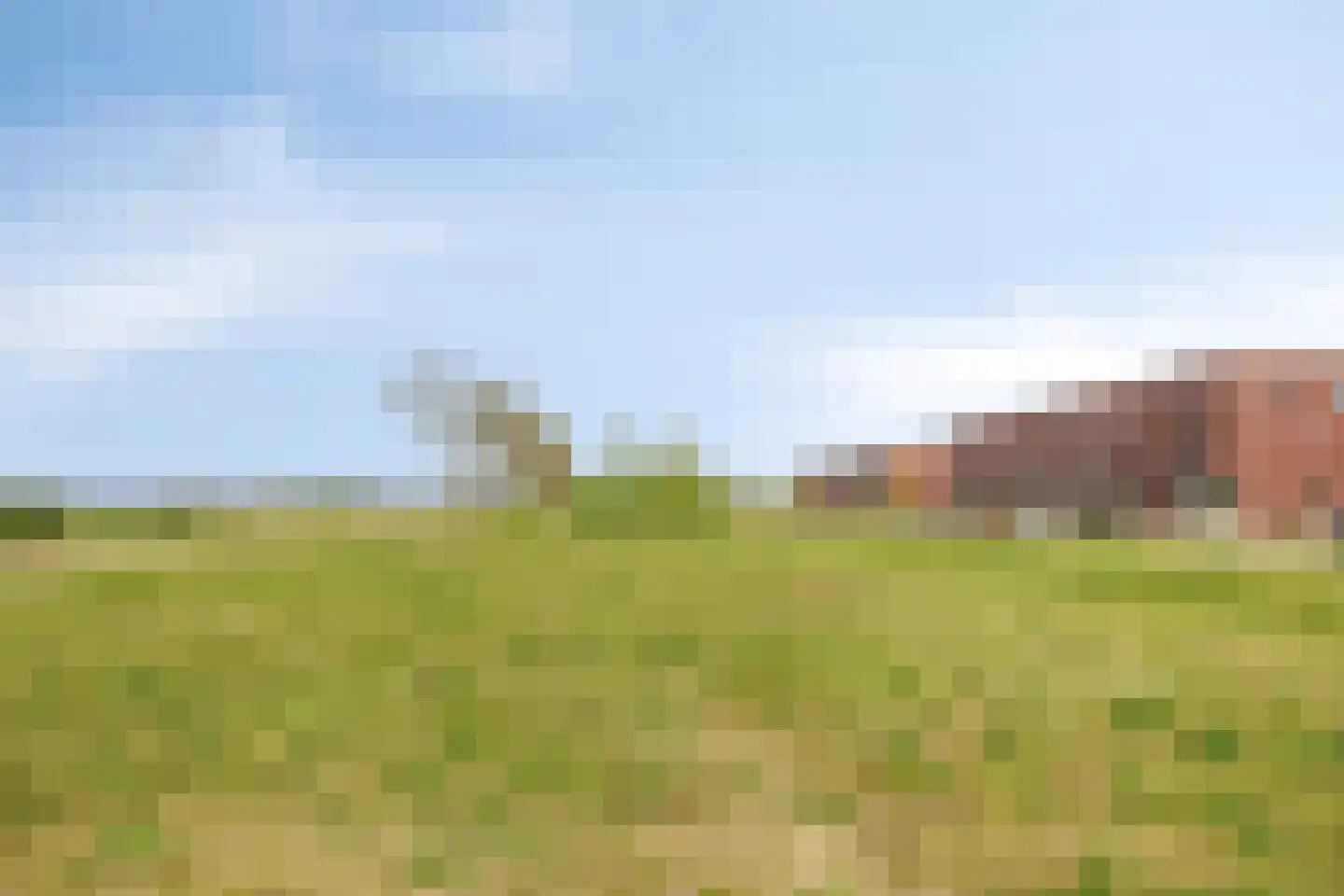 Cambara 11 Rosmalen thumbnail 40