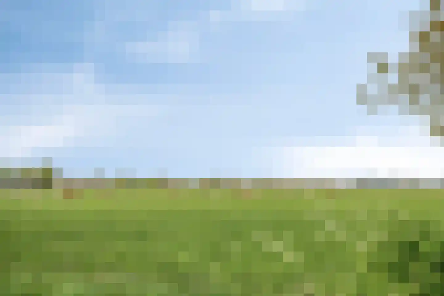 Cambara 11 Rosmalen thumbnail 42