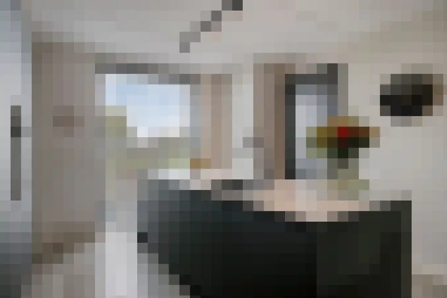 Cambara 11 Rosmalen thumbnail 7