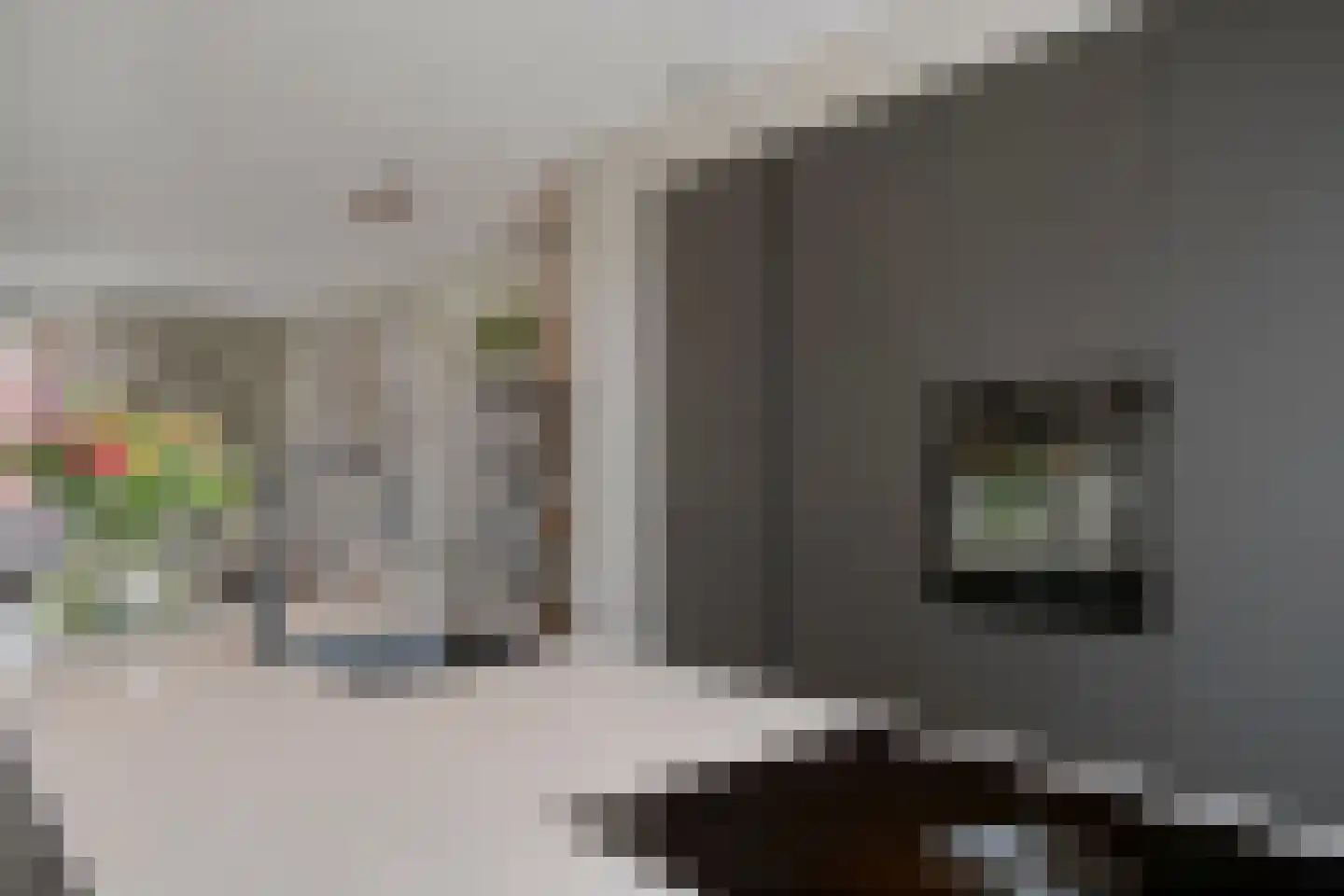 Cambara 11 Rosmalen thumbnail 8