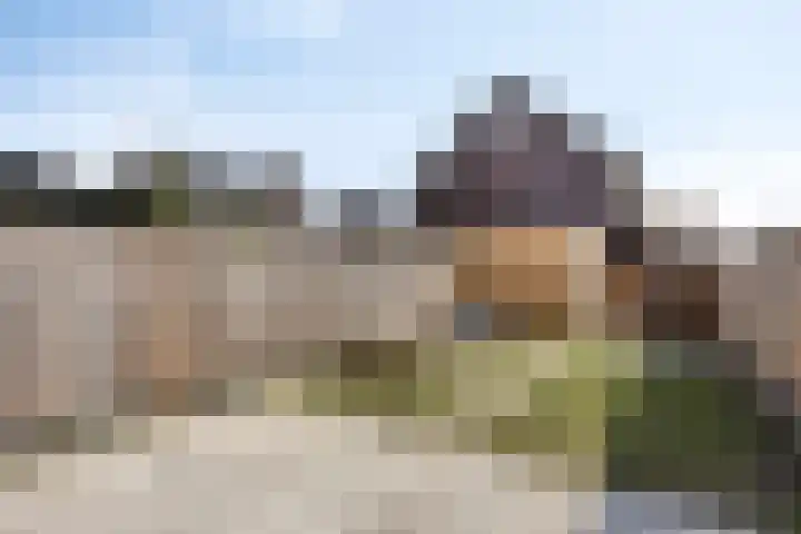 Cambara 15 Rosmalen thumbnail 12