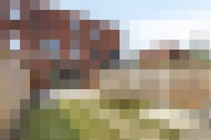 Cambara 15 Rosmalen thumbnail 13