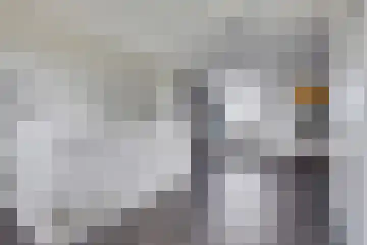 Cambara 15 Rosmalen thumbnail 23