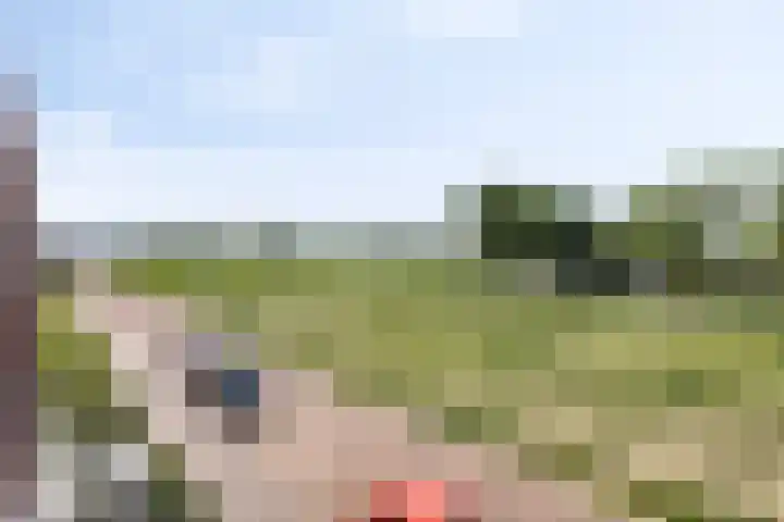 Cambara 15 Rosmalen thumbnail 26