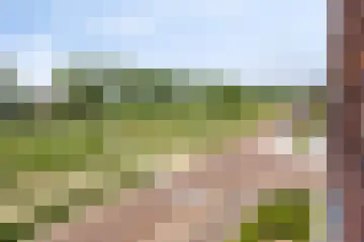Cambara 15 Rosmalen thumbnail 27