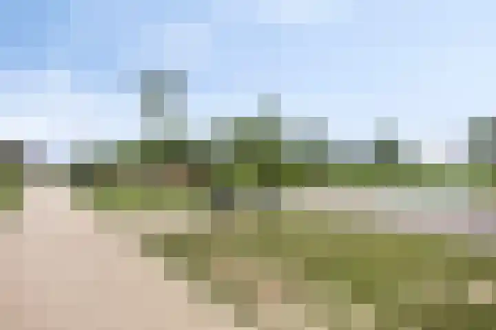 Cambara 15 Rosmalen thumbnail 29