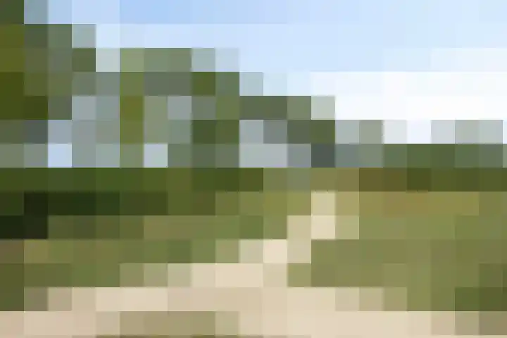 Cambara 15 Rosmalen thumbnail 30