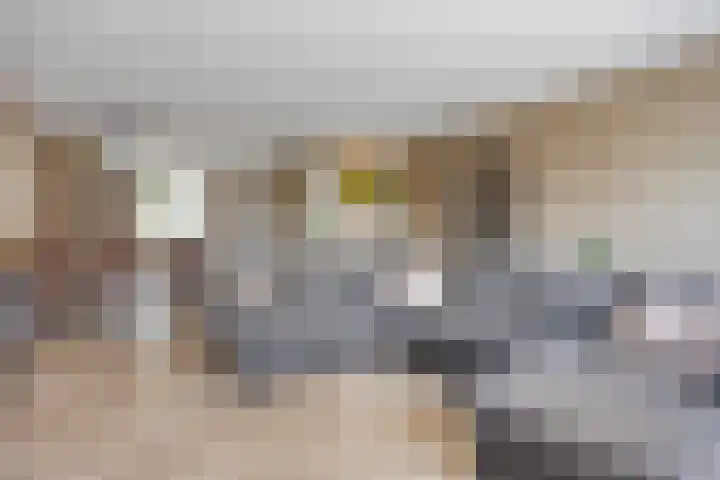 Cambara 15 Rosmalen thumbnail 4