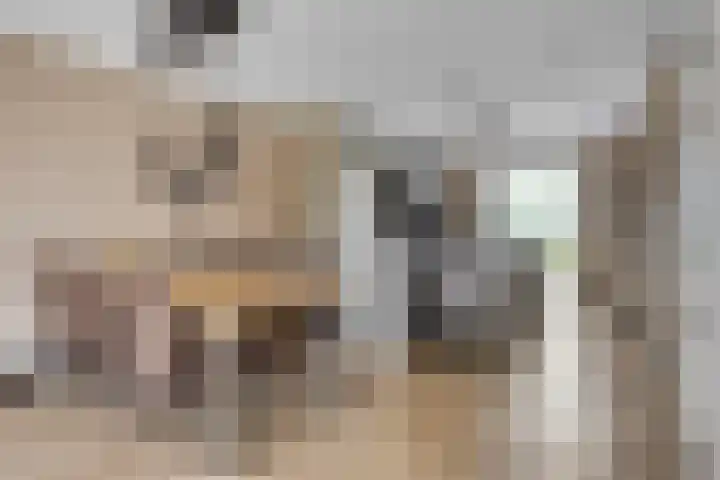 Cambara 15 Rosmalen thumbnail 5