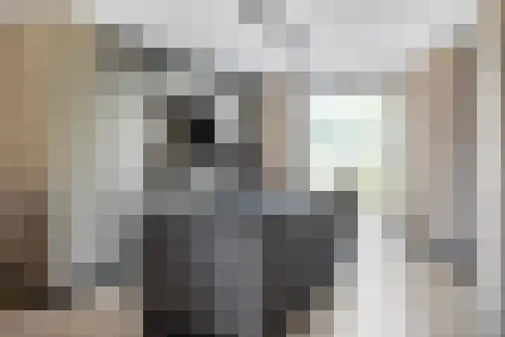 Cambara 15 Rosmalen thumbnail 6