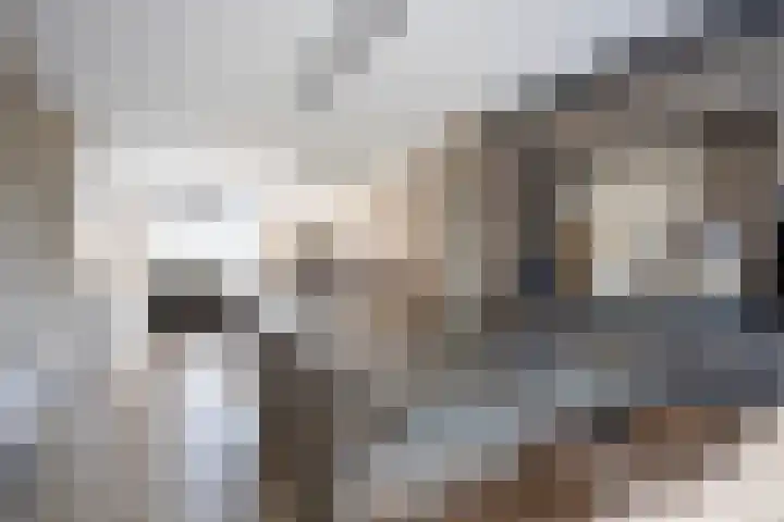 Cambara 15 Rosmalen thumbnail 8