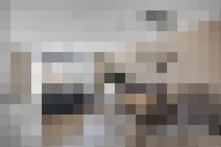 Cambara 15 Rosmalen thumbnail 9