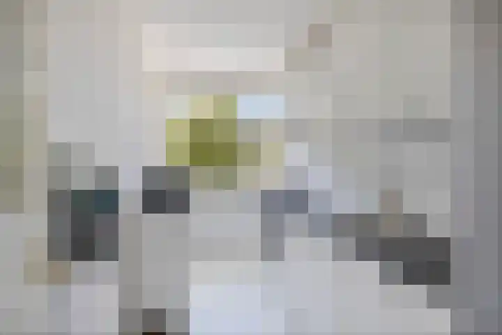 Cambara 25 Rosmalen thumbnail 25