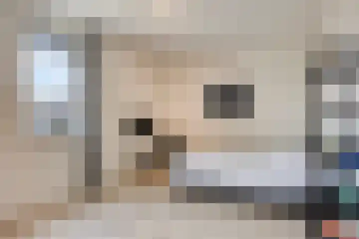 Cambara 25 Rosmalen thumbnail 25