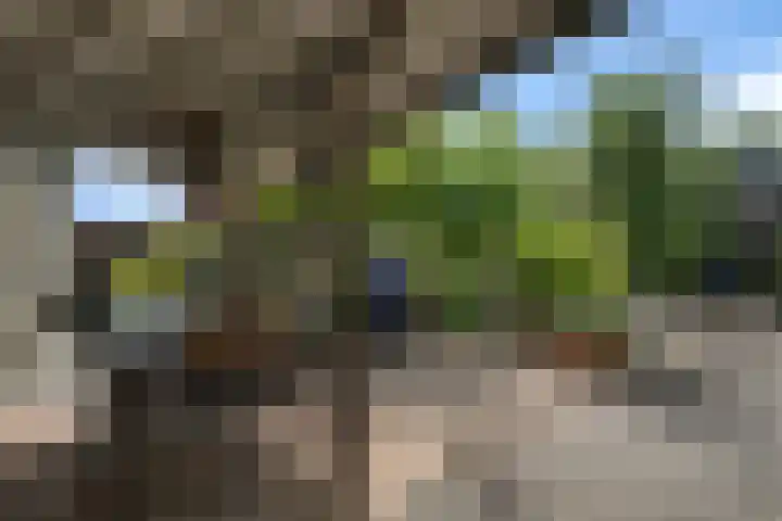 Cambara 25 Rosmalen thumbnail 33