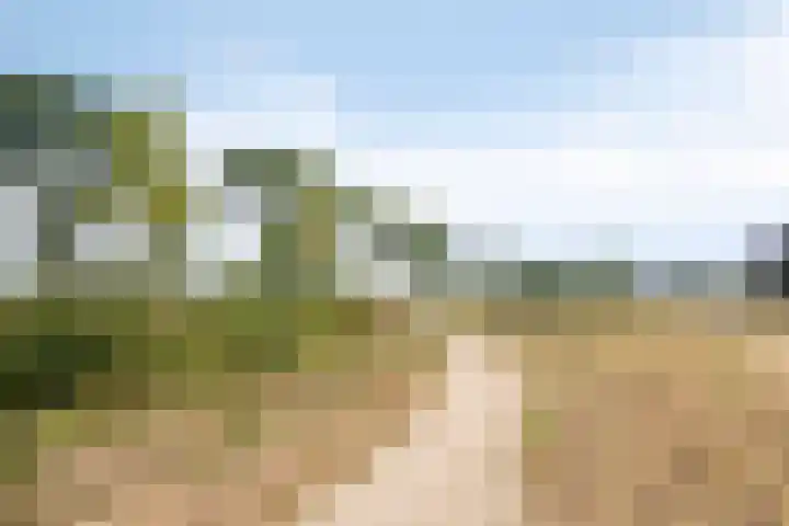 Cambara 25 Rosmalen thumbnail 33