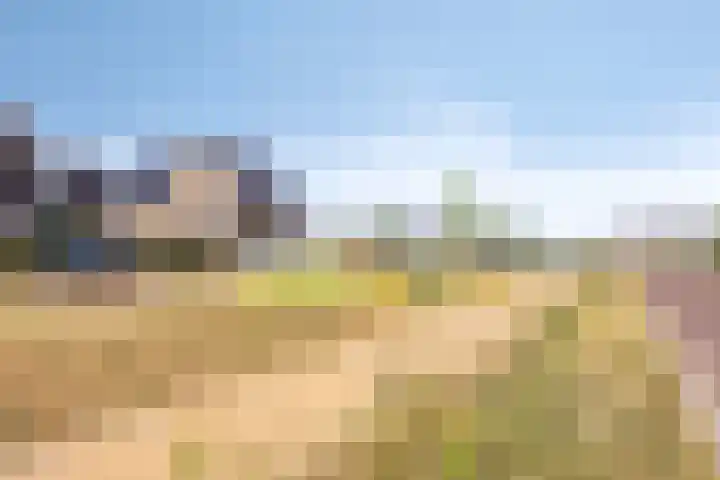 Cambara 25 Rosmalen thumbnail 35
