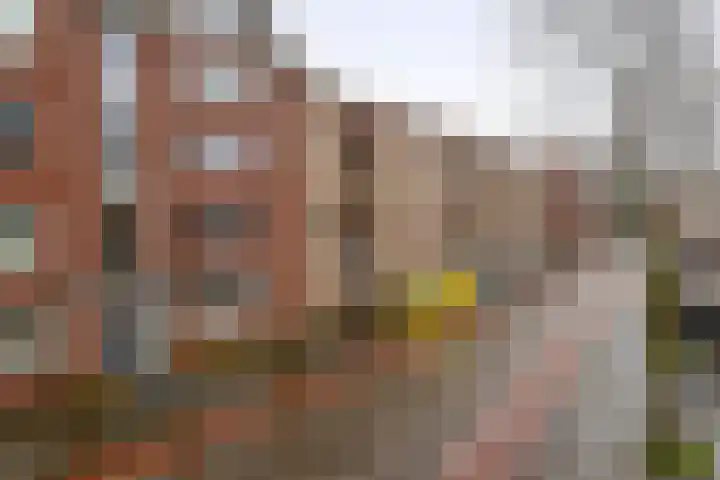 Cambara 25 Rosmalen thumbnail 9
