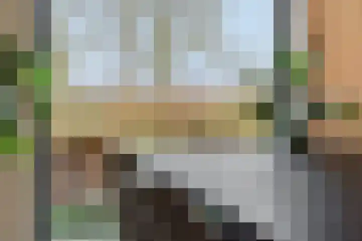Cambara 47 Rosmalen thumbnail 12