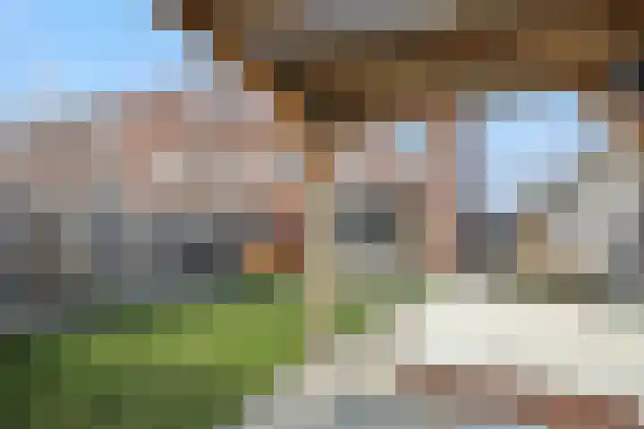 Cambara 47 Rosmalen thumbnail 31
