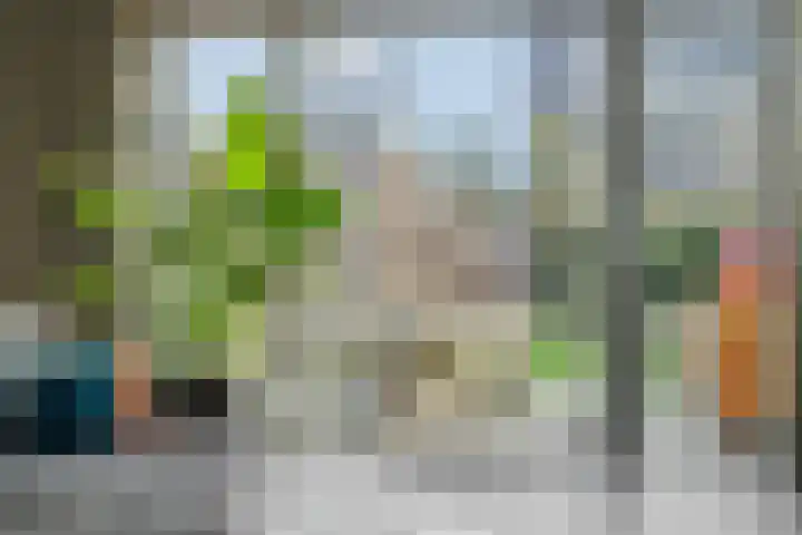 Cambara 47 Rosmalen thumbnail 6