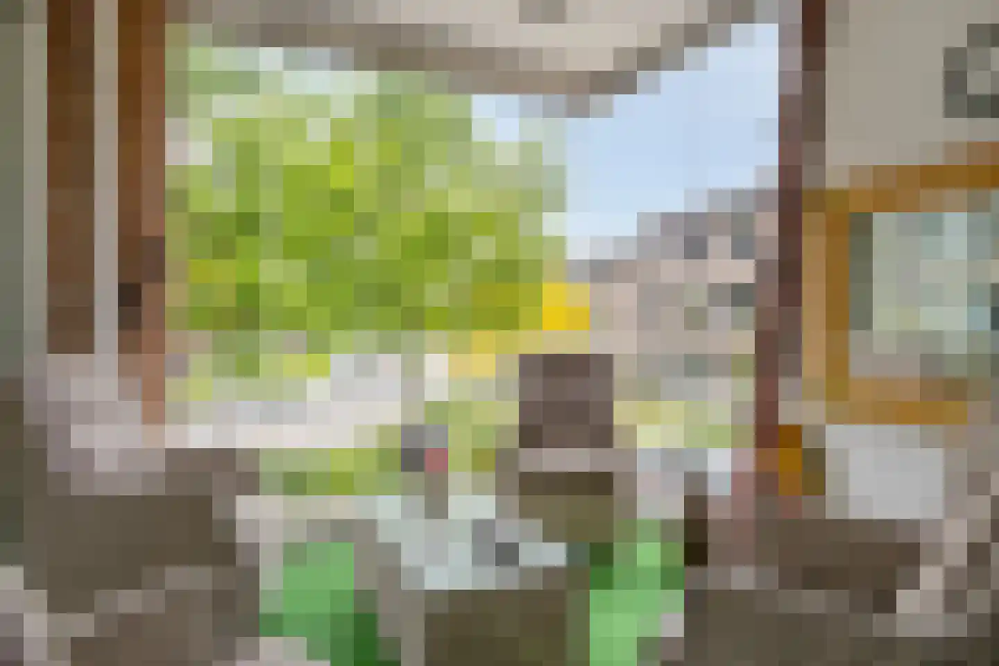 Cambreur 4 Drunen thumbnail 14