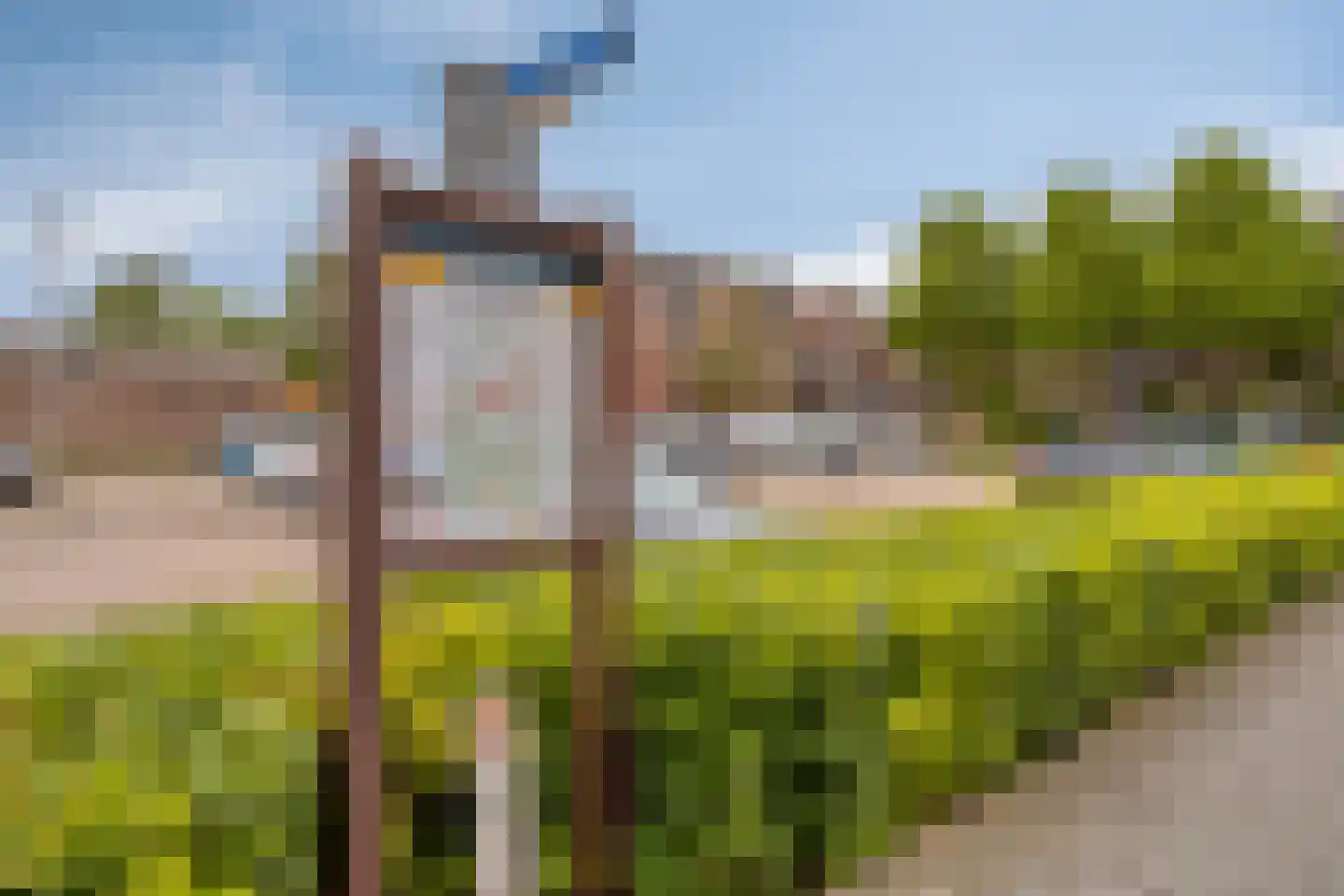 Cambreur 4 Drunen thumbnail 29