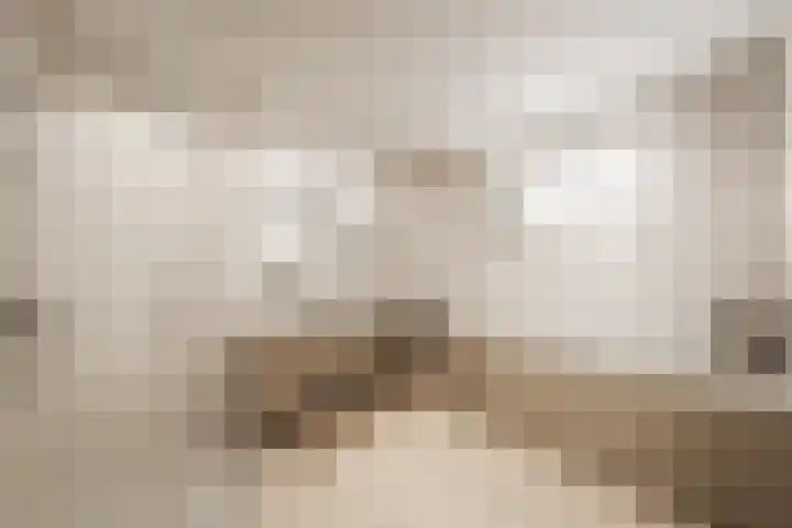 Cambriumstraat 27 Heerlen thumbnail 26