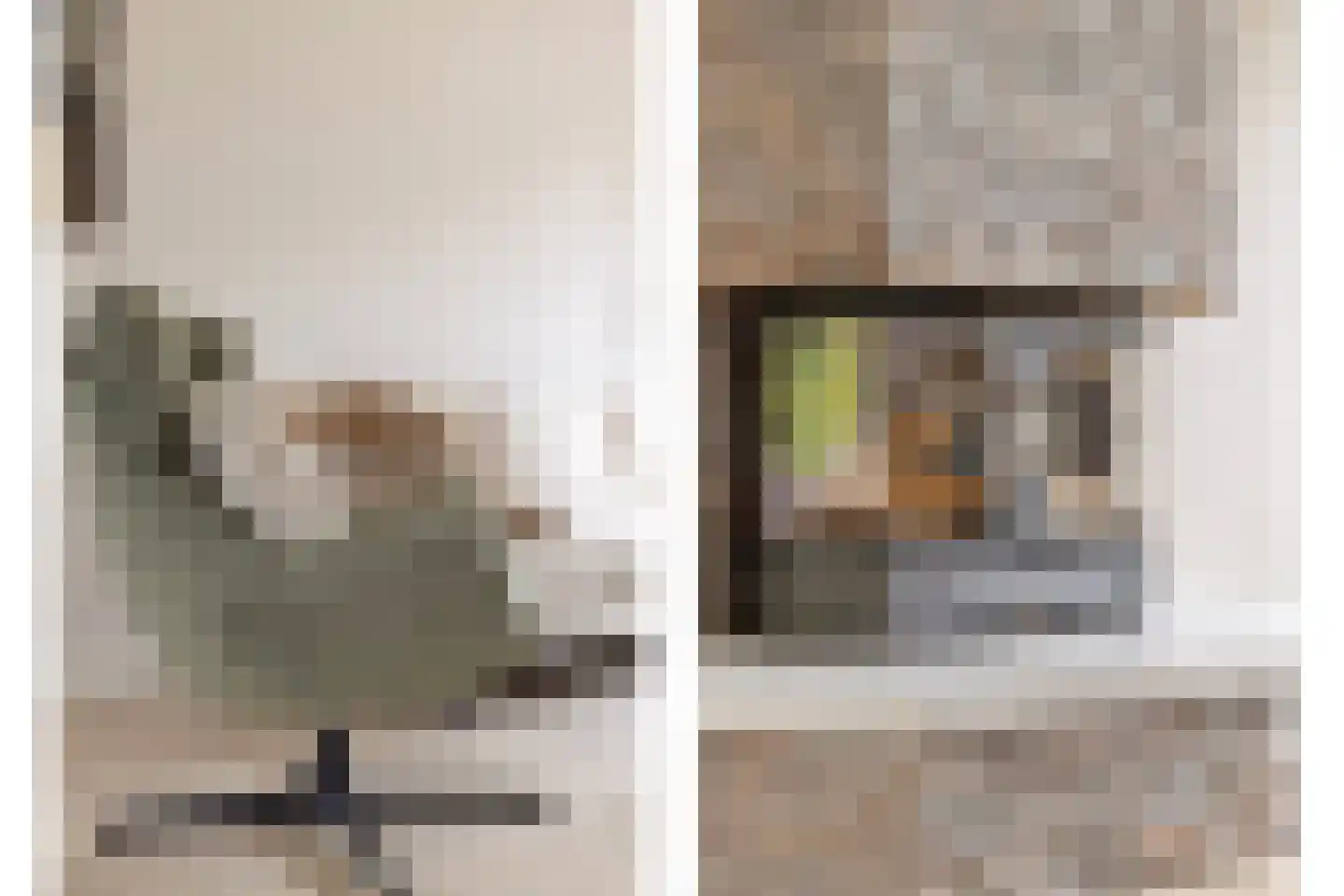 Cambronsestraat 5 Vogelwaarde thumbnail 10