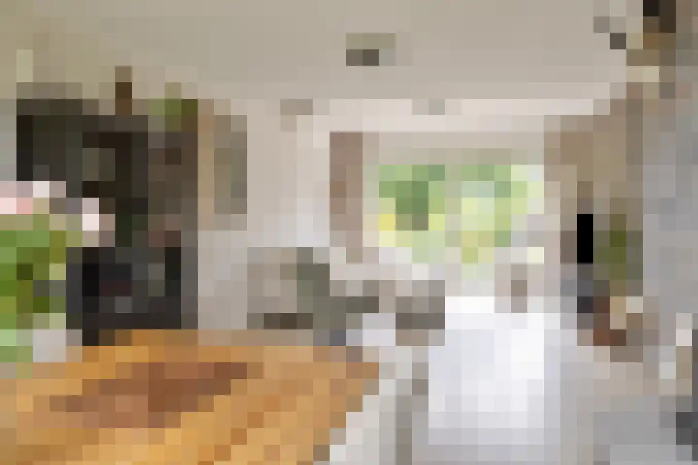 Cambronsestraat 5 Vogelwaarde thumbnail 13