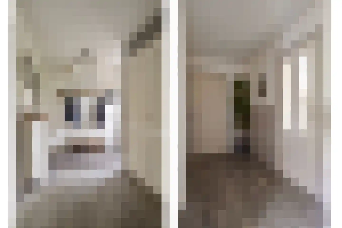 Cambronsestraat 5 Vogelwaarde thumbnail 14