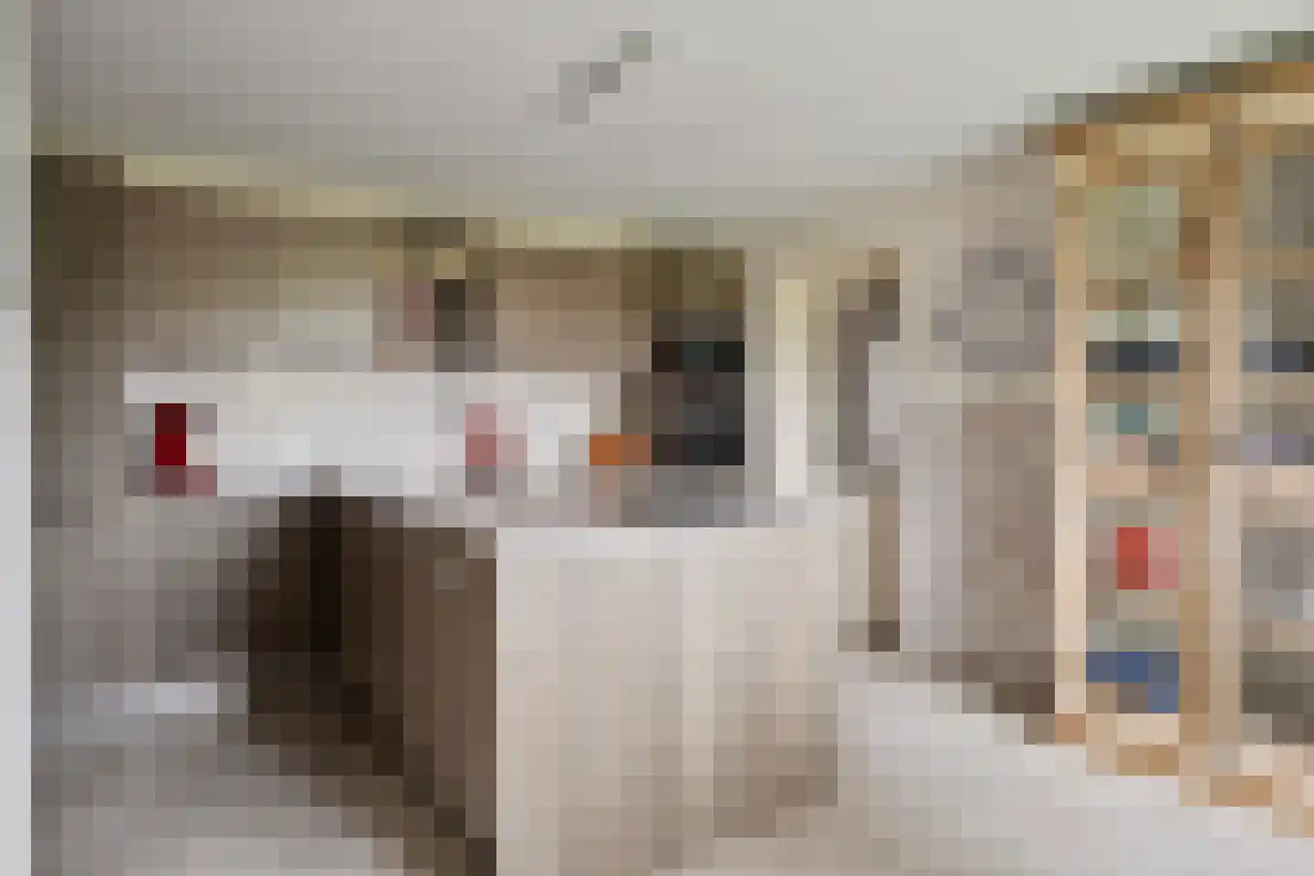 Cambronsestraat 5 Vogelwaarde thumbnail 16